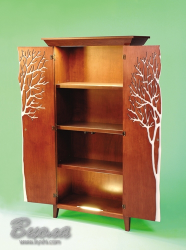 Раздвижной шкаф с красивыми узорами