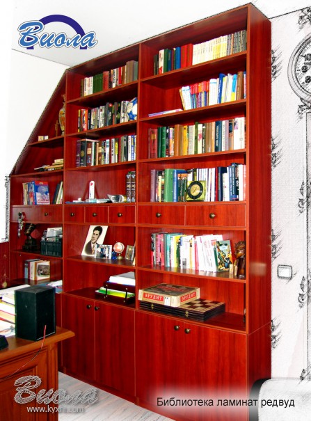 мебель для кабинета и библиотеки под заказ Днепропетровск